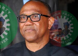 36 LP State Chairmen, Labour Party, Obi