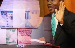Emefiele, Central Bank of Nigeria, New Naira
