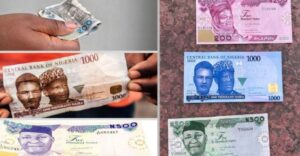 Naira Redesign Policy of 2022: Tales of Deaths, Sorrow, and Anguish