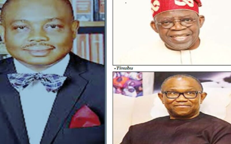 Afam Osigwe: Interim government will not solve Nigeria's problems