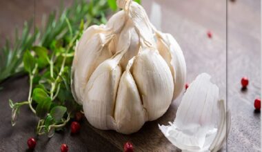 health benefits of garlic