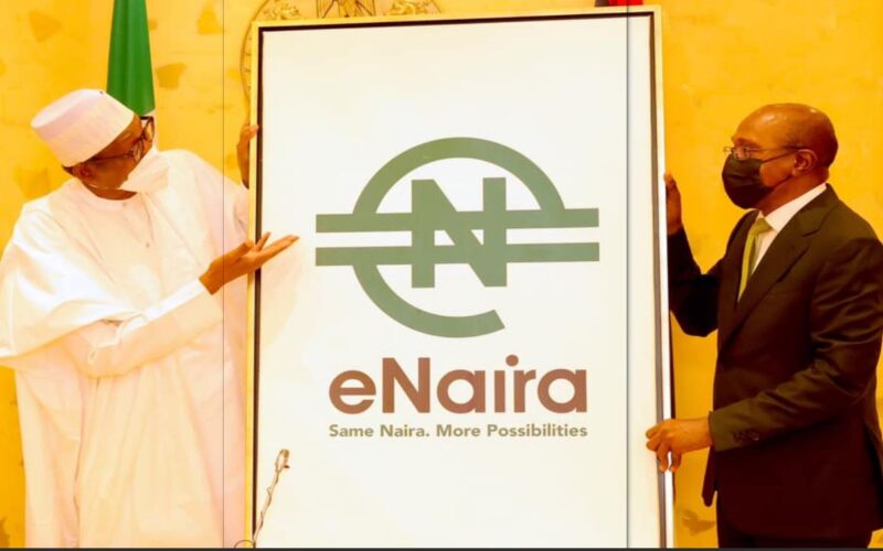 IMF Report ,Nigeria's eNaira