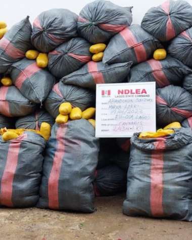 NDLEA Intercepts Massive Drug