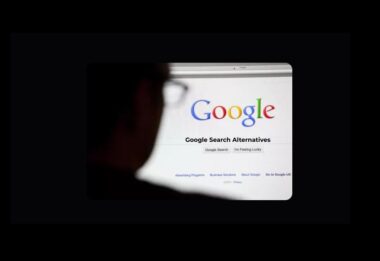 Google Search Alternatives, Google Search
