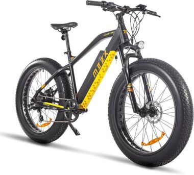 electric bicycle (15)