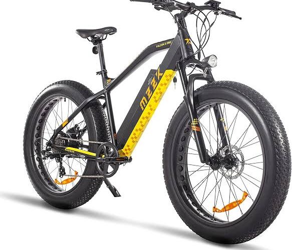 Electric Bicycle (15)
