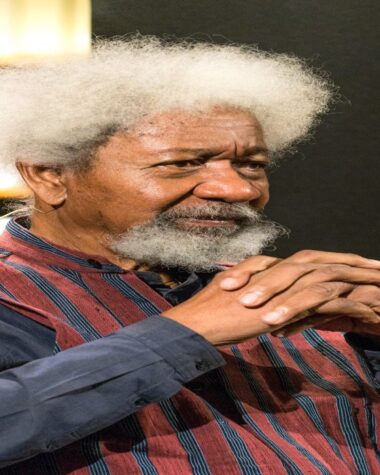 Wole Soyinka Supports Davido Amid Controversy