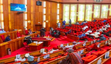 Senate Approves President Tinubu's Supplementary Budget